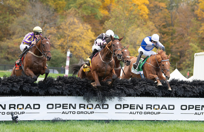 Noah and the Ark right leads Savador Ziggy center Merry Make over last in Grand National 2