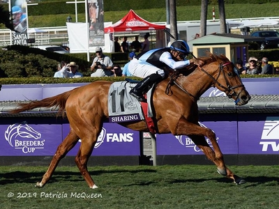 Sharing Breeders Cup