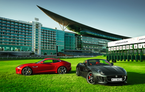 Jaguar Style Stakes 