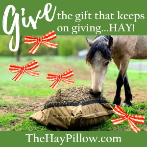 The Hay Pillow