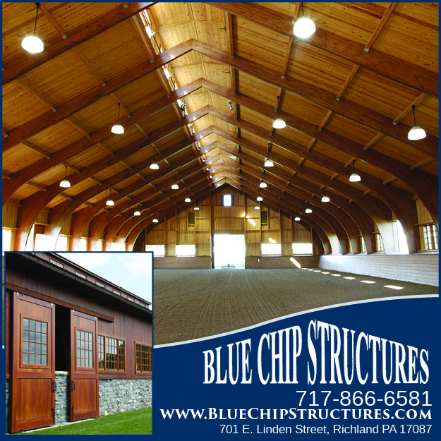 Blue Chip/Rigid Ply 