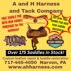 A and H Harness and Tack Company