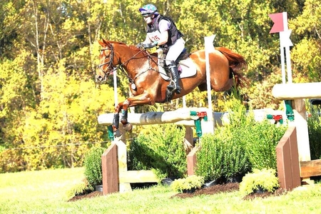 Action Sakkt Ciysubs Wizard