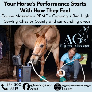 Ana Gezon Equine Massage Therapy