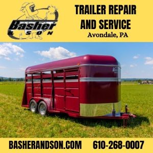 Basher n Sons