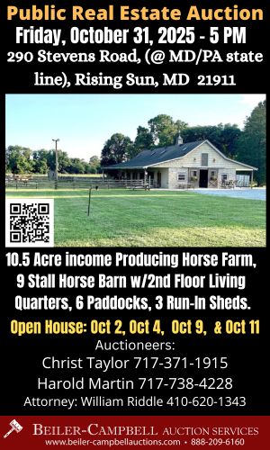 auction ad