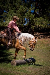 Bitless Bridle 4