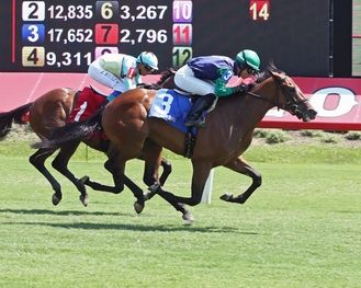 Blue Creek Coady Photography