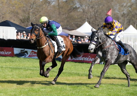 Blue Creek left outduels Kiyomori to wire in 6th 8