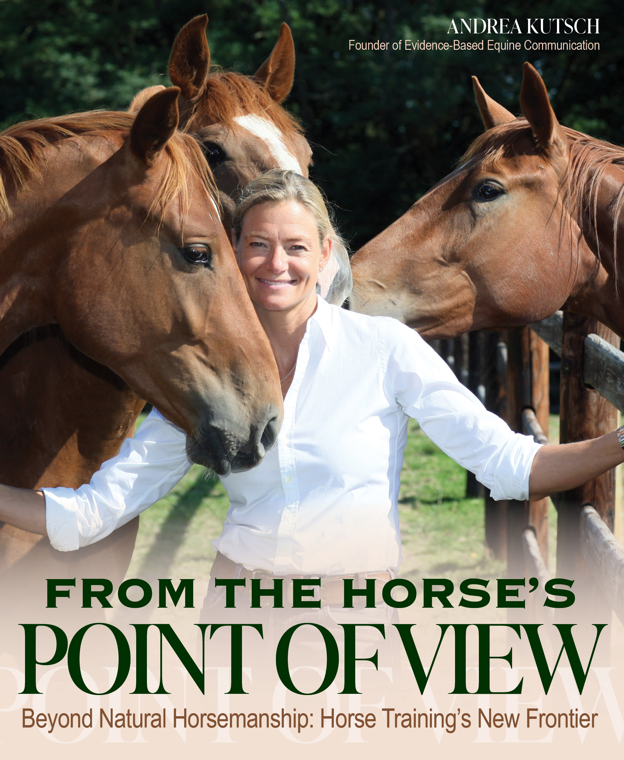 From the Horses Point of View