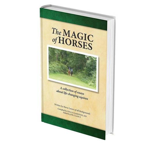 MagicHorsesBook 1