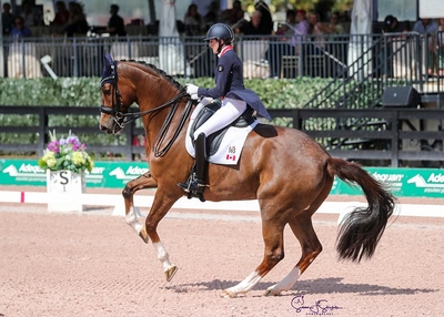 Brittany Fraser Beaulieu on ll In Susan Stickle 2