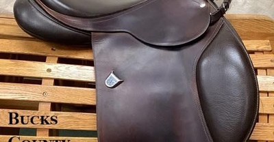 Bucks saddle 1