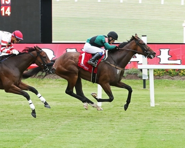 CainudothetwistCoady Photography