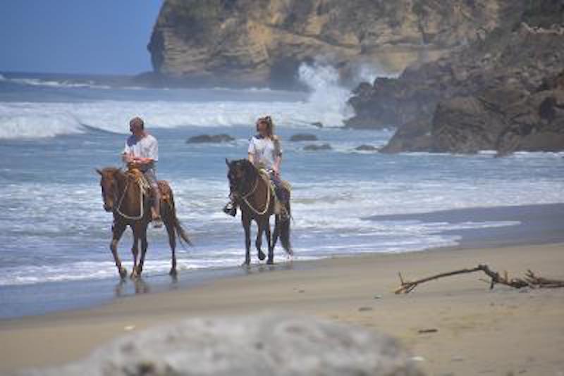 Candid 2 horses on beach