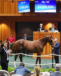 Colt by Curlin out of Beholder brought 4million