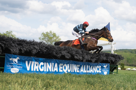 Cool Jet leads pver last in Commonwealth Cup