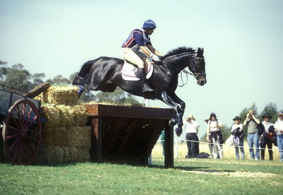 David OConnor on Custom Made Sydney Olympics 