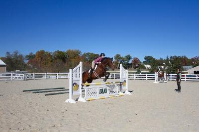 DelVal 11