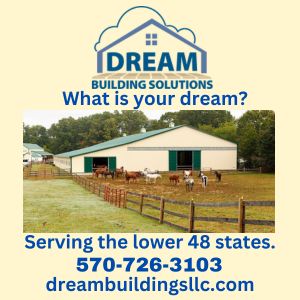 Dream Buildings 