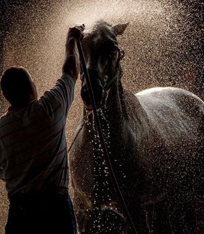 Eq. Colic