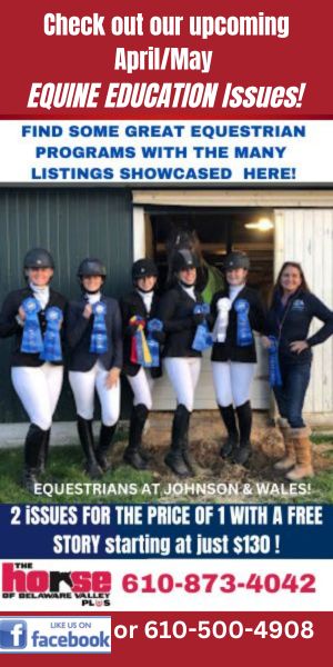 Equine education promo 2026