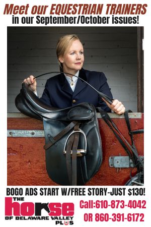 Equestrian Trainers Promo  2026