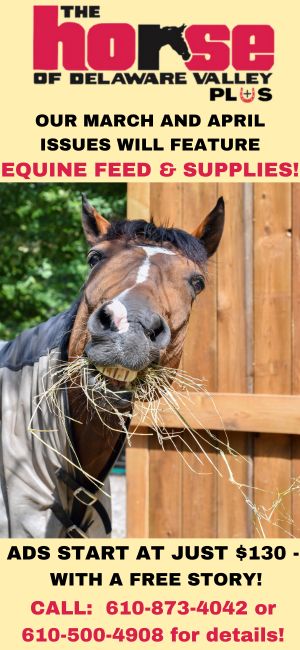 Equine feed promo 2026
