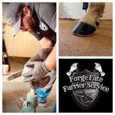 Forge farrier 2