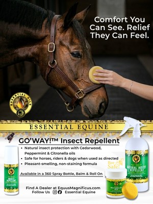 Equus Magnificus 