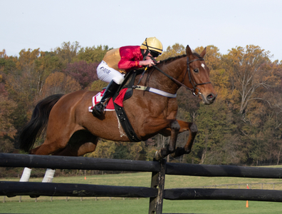 Goodoldtimes takes jump early in PHC 1