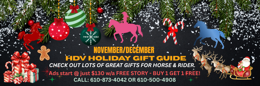 Holiday Gift Guide 2025