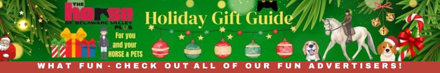 Holiday Gift Guide Promo