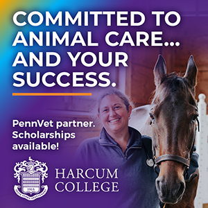 Harcum College 