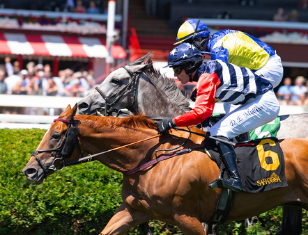 Historic Heart Danny Mullins nip Proven Innocent in Smitwick 3