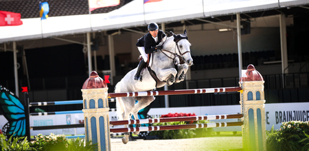 Kent Farrington on Greya Cassidy Klein