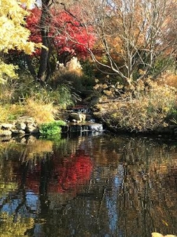 Kids pond in fall 2