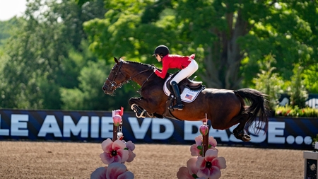 Lacey Gilbertson on Belle Amie vd Dassenheide Z