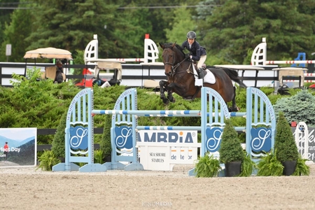 Laura Chapot on CC Willow KindMedia