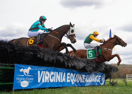 Little Trilby 6 rallies over last to win Allison REMOTE 1