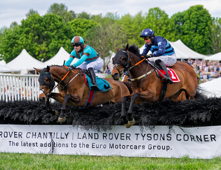Little Trilby left duels Jimmy P early in Commonwealth Cup 1
