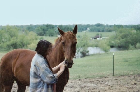Love horse 1