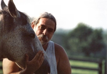Love horse 4