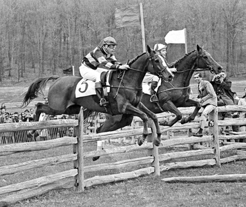 Maryland Hunt Cup