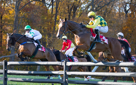 Master Seville 4 early in PHC 1