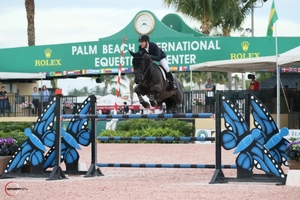 McLain Ward Tradition De La Roque 2019