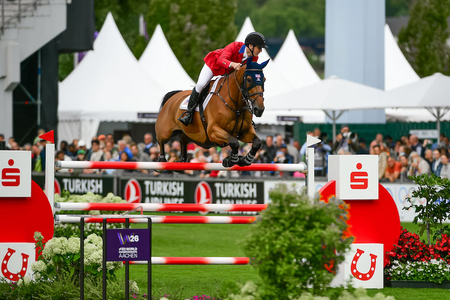 McLain Ward High Star Hero by Allen MacMillan DSC 9253