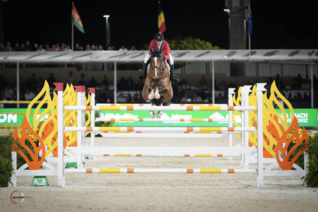 McLain Ward on Jordon Molga M NC