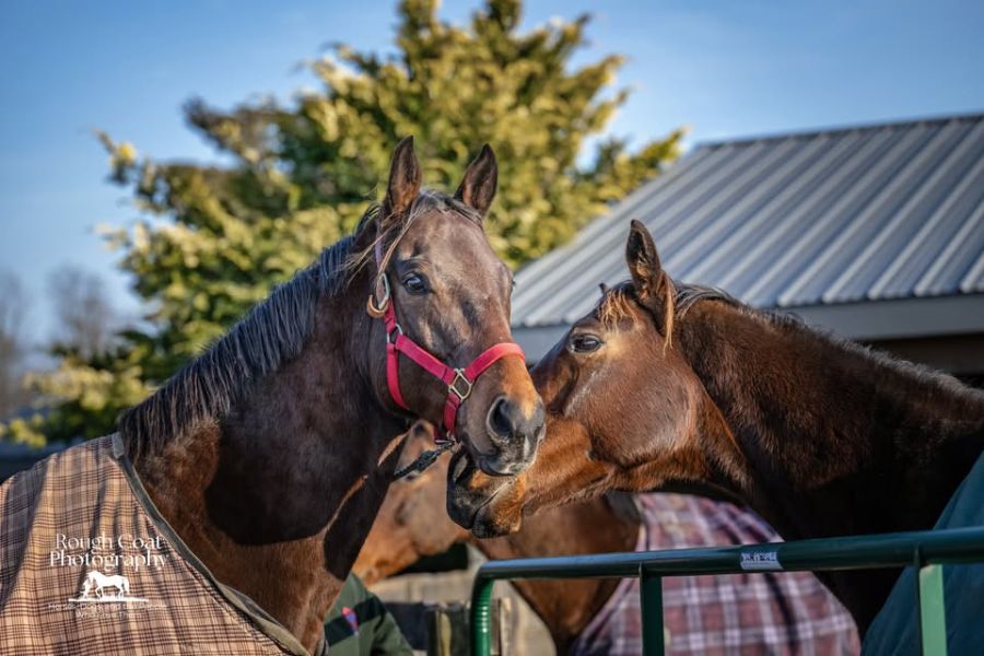 Mid Atl Res photo 900 x 600 2