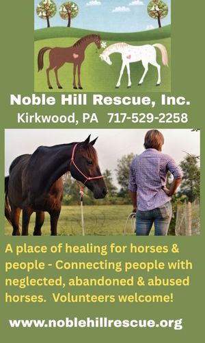 Noble Hill Rescue